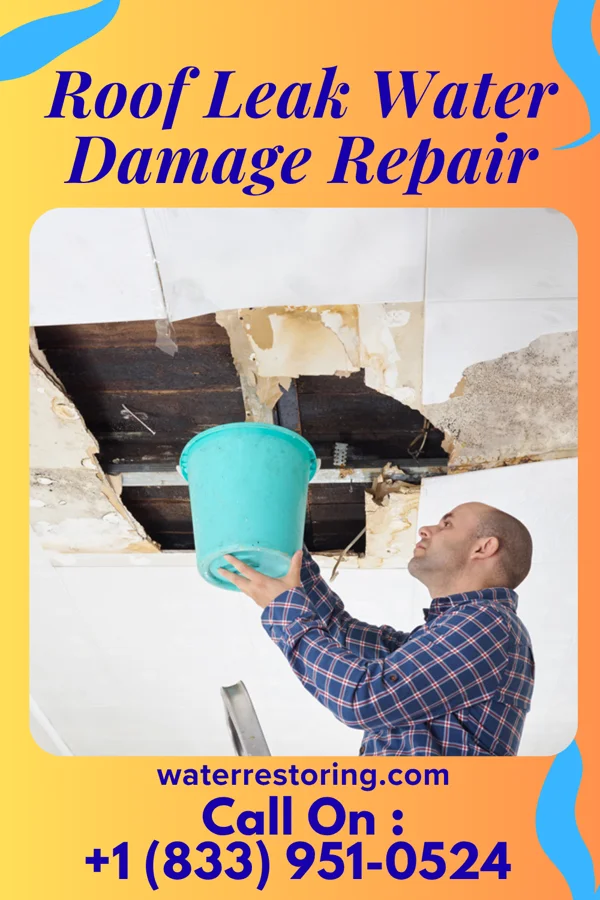 Roof Leak Water Damage Repair in Monterey Park, NM